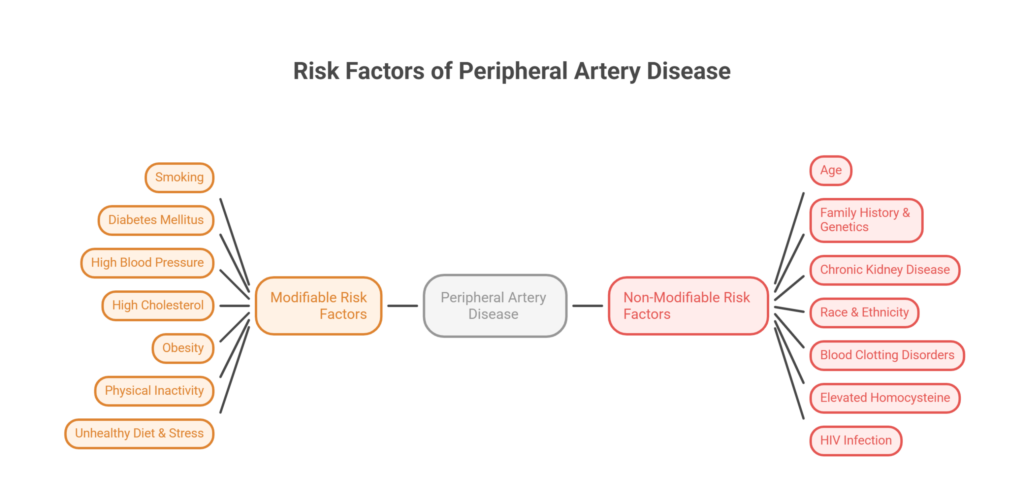 Risk Factors of PAD
