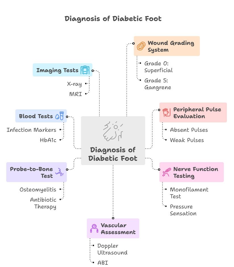 Diabetic foot diagnosis